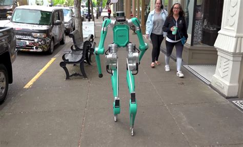 Digit Humanoid Robot 的图像结果