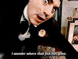 Image result for Monthy Python Fish