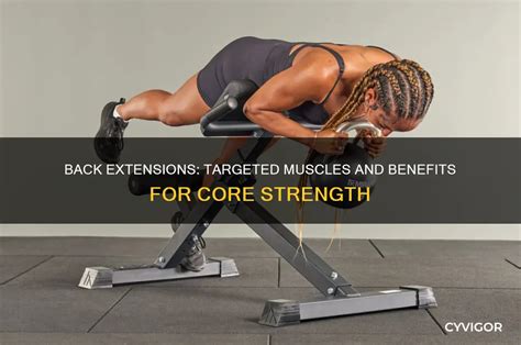 Back Extension Muscles Worked 的图像结果