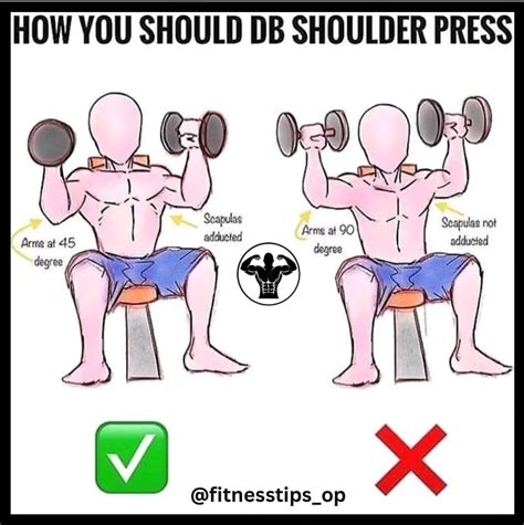 Physiqology - FITNESS | NUTRITION | DIET | How to build a big biceps: 💪 ...