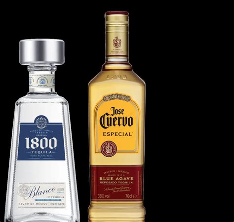 Tequila vs Mezcal - World of Tequila