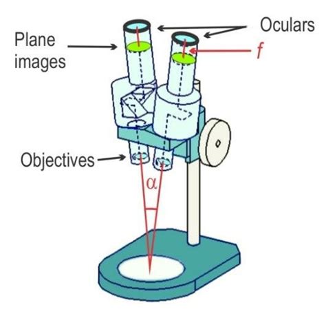 Image result for Stereo Microscope Uses