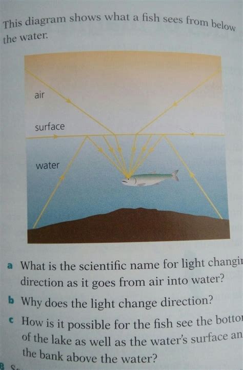 a What is the scientific name for light changingdirection as it goes ...