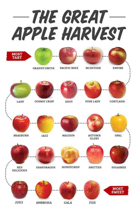 Image result for Comparing Apples