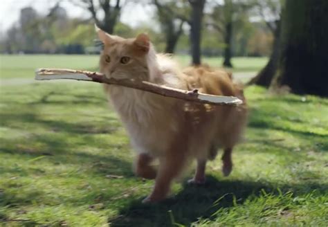 Image result for O2 Duck Advert