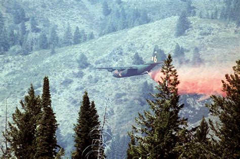 Image result for Calif Auto Insurance