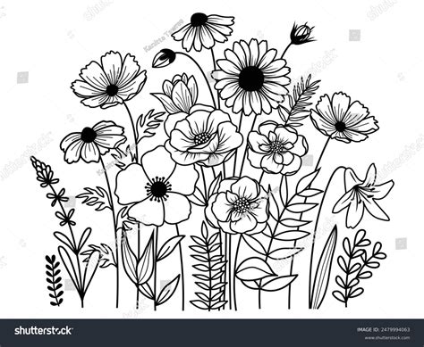Image result for Inter-Rater Differences