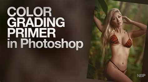 Image result for Color Grading Basics