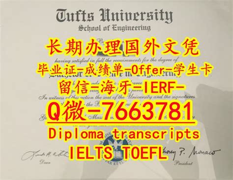 国外学位证丢失可以补办Tufts文凭证书吗？ | PPT