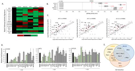 Increased H19/miR-675 Expression in Adult T-Cell Leukemia Is Associated ...