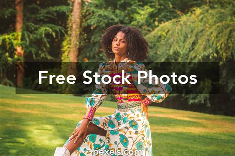 Image result for Dynamic Equilibrium Model Kit