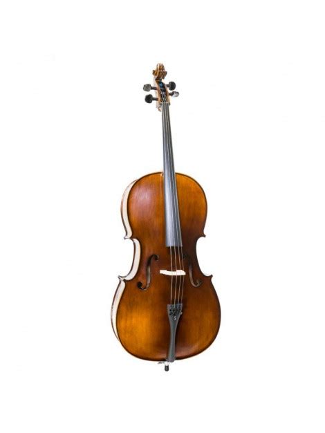 Cello Stentor Student II SH
