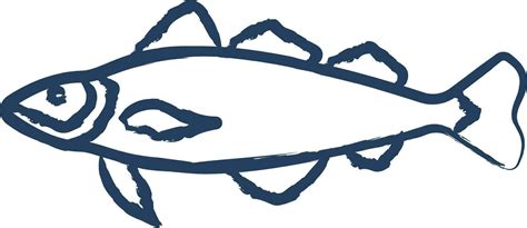 Image result for Cod Luredrawing