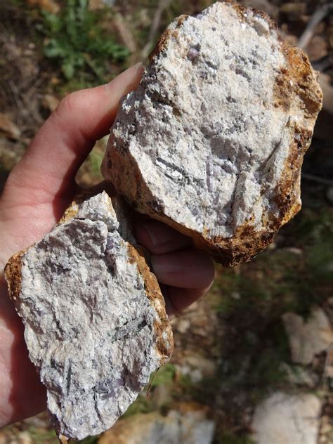 Image result for Ruby Hunting