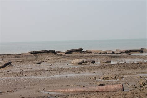 In Sundarbans, rising sea levels have turned farms into wasteland ...