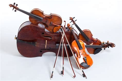 Image result for Stringed Instruments