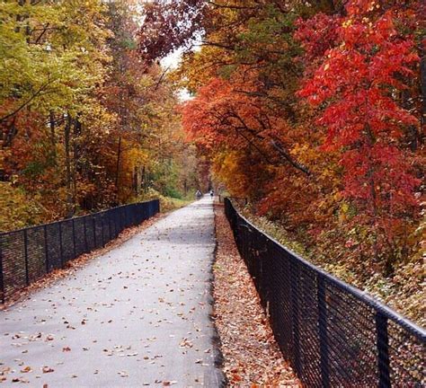 GHS SWAMP RABBIT TRAIL (2024) All You Need to Know BEFORE You Go (with ...