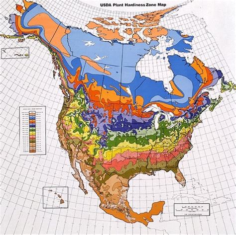 A Guide to USDA Hardiness Zones - Dengarden
