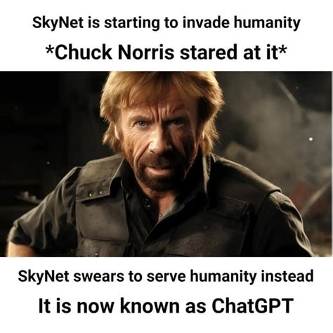 Chatgpt References Meme 的图像结果