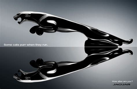 Jaguar Ad | Luxury Car Advertisement