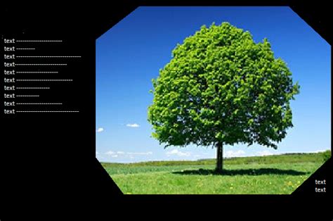 Image result for OpenCV Bounding Box