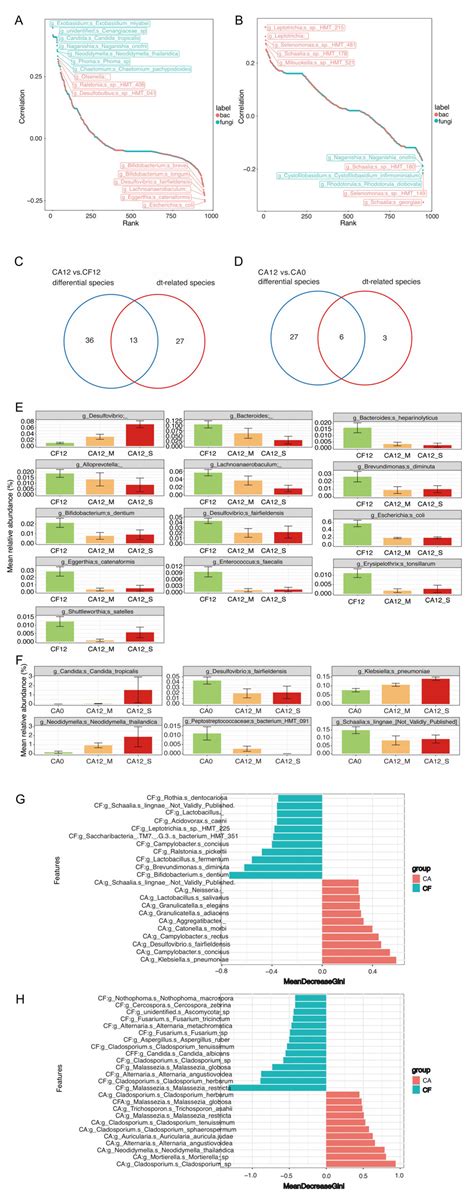 The Impact of Bacterial–Fungal Interactions on Childhood Caries ...