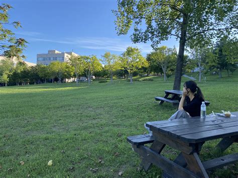 Image result for Vscode Python Interactive Window