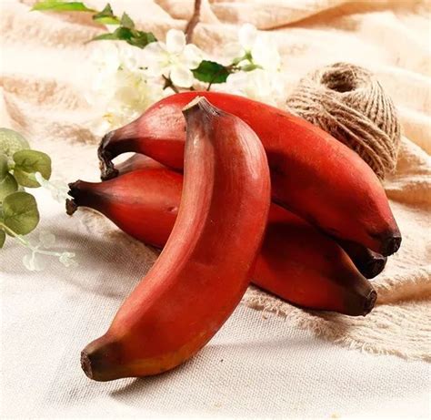 世界稀有的红皮香蕉，2年才结一次果，抓紧尝鲜！__财经头条