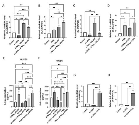 LDL Affects the Immunomodulatory Response of Endothelial Cells by ...