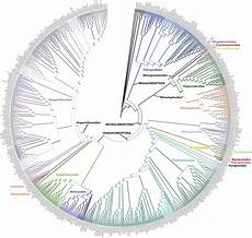 la della vita 200 stata stilata la pi 249 completa mappa della vita mai la della vita 200 stata stilata la pi 249 completa mappa della vita mai