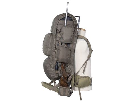 Image result for Frame Alps Packs