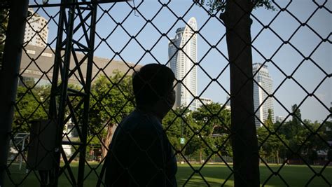 | Migrant Protection Platform