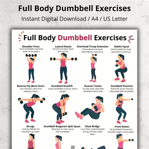 Full Body Dumbbell Workout Chart - Home Dumbbell Exercises, Printable ...