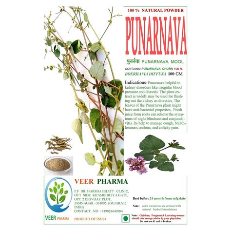 Veer Pharma Punarnava Mool Churna/Punarnava Root Powder Root Powder ...