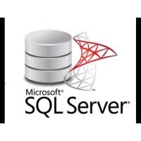 Image result for SQL Server Support