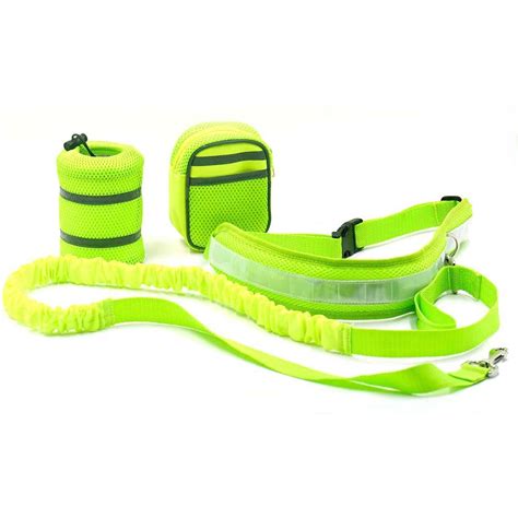 Outdoor Hands Free Reflective Pet Dog Bungee Leash Kit - Dog Running ...