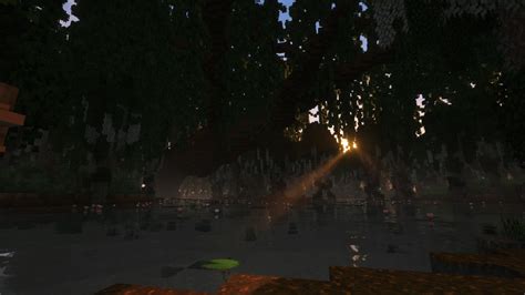 Image result for Minecraft Swamp Biome Builds