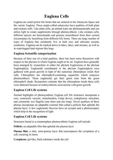 Euglena Cells - Euglena Cells Euglena are small protist life forms that ...