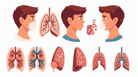 Understanding Tuberculosis Symptoms and Transmission Ways Medical ...
