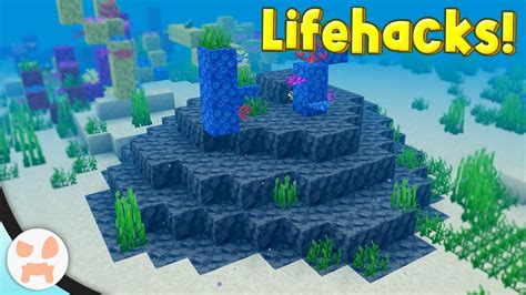 Image result for Life Hacks Minecraft Java