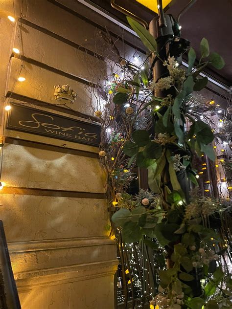 SOFIA WINE BAR, New York City - Manhattan - Photos & Restaurant Reviews ...