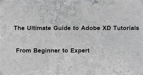 Adobe XD Tutorial 的图像结果