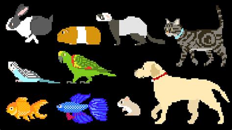 Image result for Python Create Instance of Class