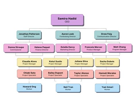 Label the Organizational Structure 的图像结果