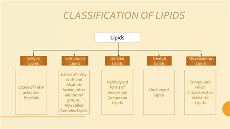 Beyond Energy: Decoding The Unique Properties Of Lipids