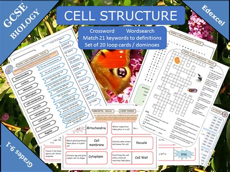 Tutorials for Cells 的图像结果