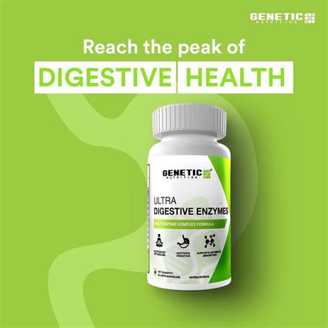 Digestive Enzymes: What They Are | Genetic Nutrition