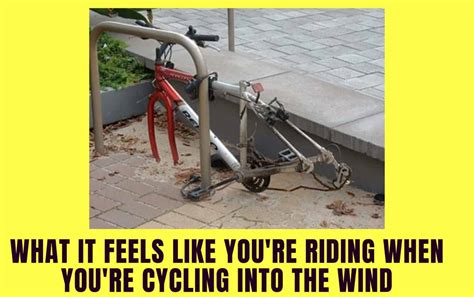 The 22 Best Bike Memes: Funny Cycling Memes That Every Rider Can Relate To