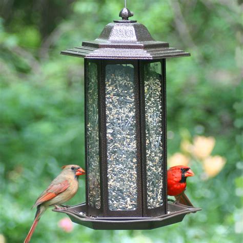 Tall Tulip Garden Lantern Decorative Bird Feeder | Bird feeders, Tulips ...
