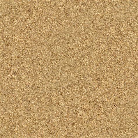 Image result for Sand Lizard